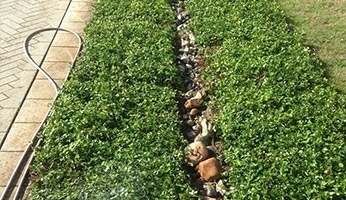 Beplantning og sten